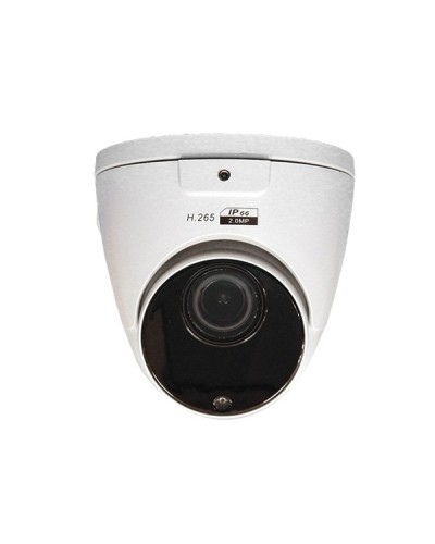 CO-RD23P. Видеокамера IP купольная. ComOnyx в Чите