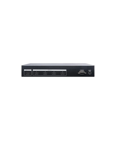 HS04-4K6G. Разветвитель. SC&T в Чите