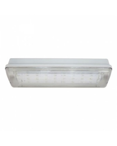 SL-213-30LED1.8 исп. 1 IP65. Светильник аварийного освещения. ИП Раченков А.В. в Чите
