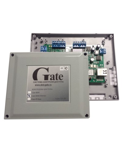 Gate-8000 Ethernet. Сетевой контроллер. Равелин в Чите